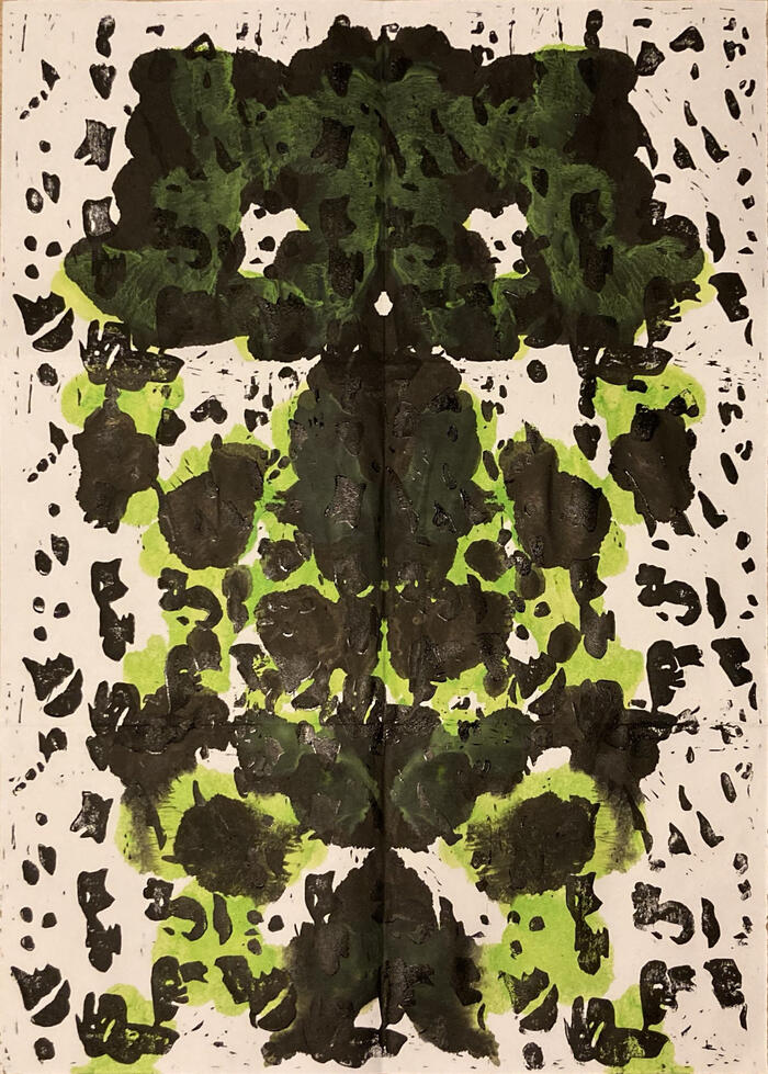 A green and black mirrored image, that has roughly the shape of a frog.