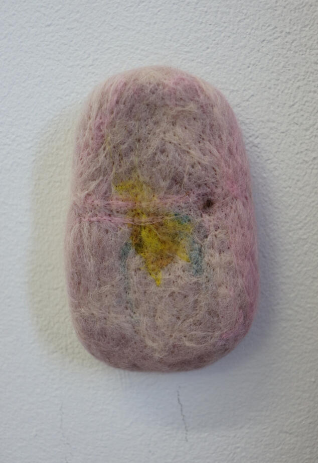 An oval shaped piece that looks like bruised flesh.